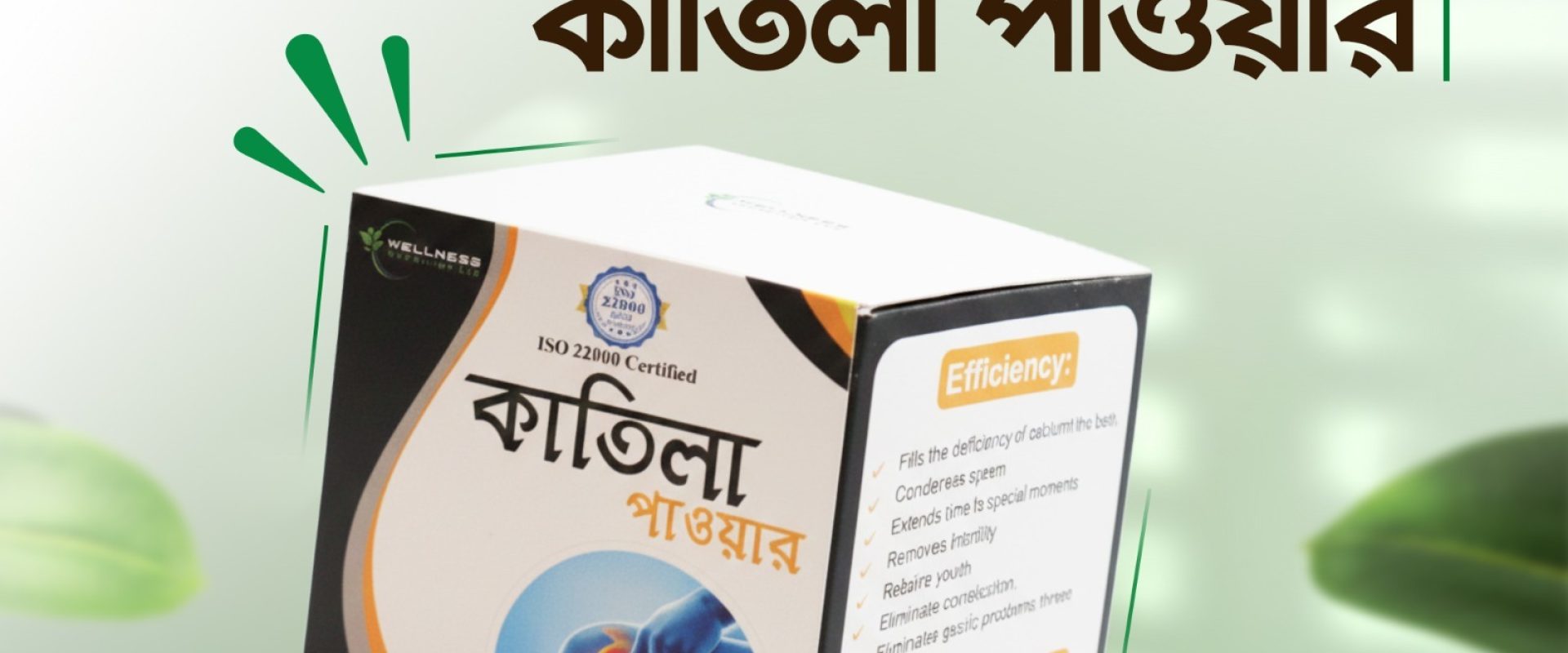 Katila Power ।। কাতিলা পাওয়ার